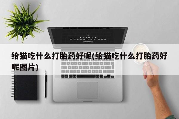 打胎药/堕胎药/流产药私人联系微信给猫吃什么打胎药好呢(给猫吃什么打胎药好呢图片)